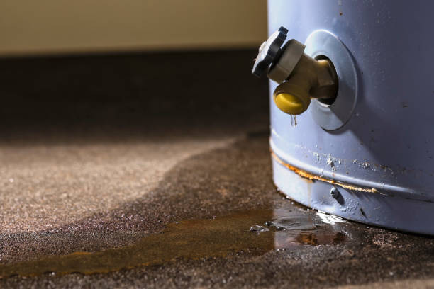 Best Sewage cleanup and water damage restoration  in Cascade, ID
