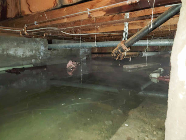 Best Water damage restoration mold remediation  in Cascade, ID