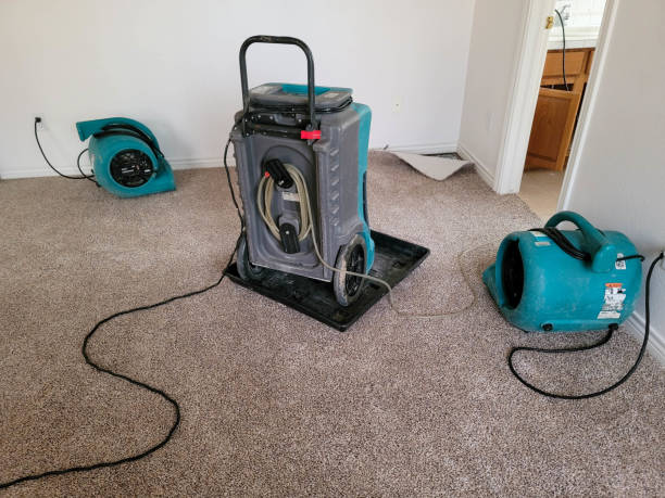 Best Fire Damage Restoration  in Cascade, ID