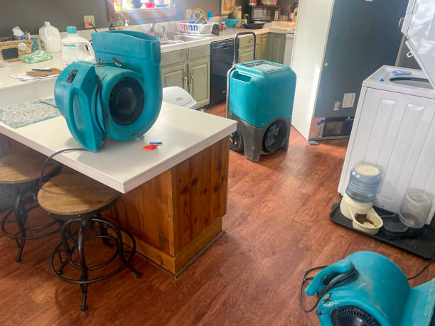 Best Mold removal after water damage  in Cascade, ID
