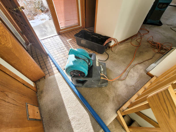 Best Water damage contractors near me  in Cascade, ID