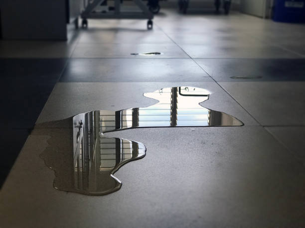 Best 24/7 water damage repair  in Cascade, ID