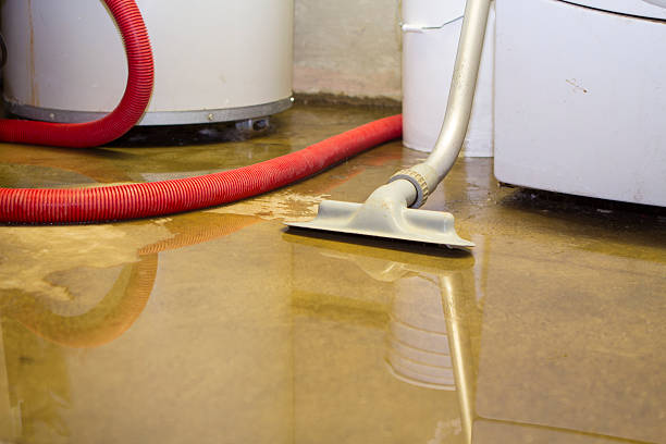 Best Water damage restoration process  in Cascade, ID