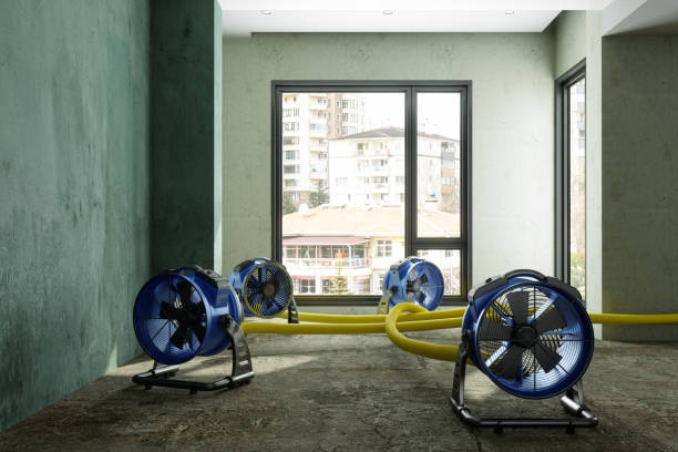 Professional Water damage restoration in ID