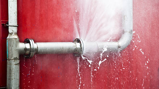Best Professional water damage repair  in Cascade, ID