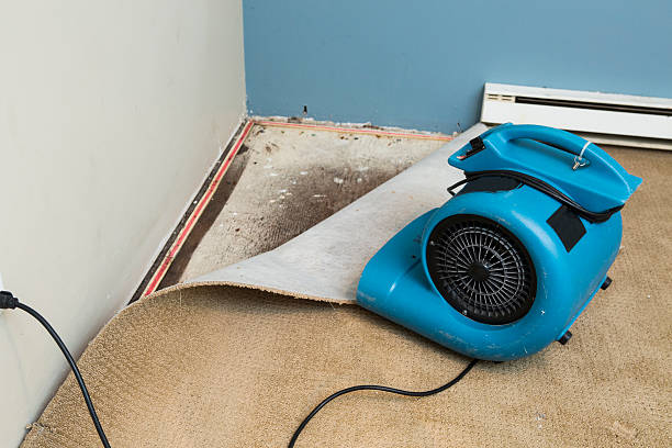Best Residential water damage restoration  in Cascade, ID